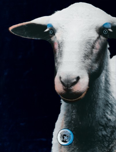 Le Génie des Alpages