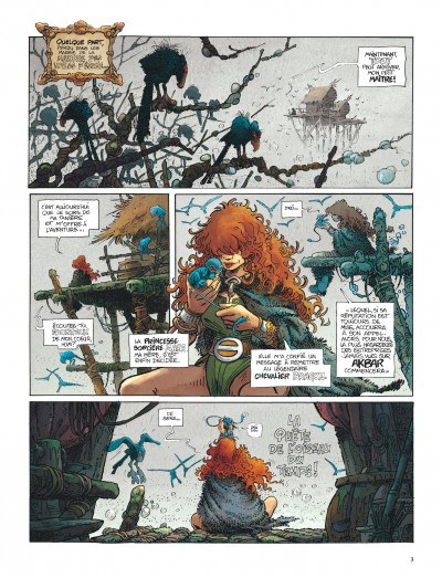 La Quête de l'Oiseau du Temps