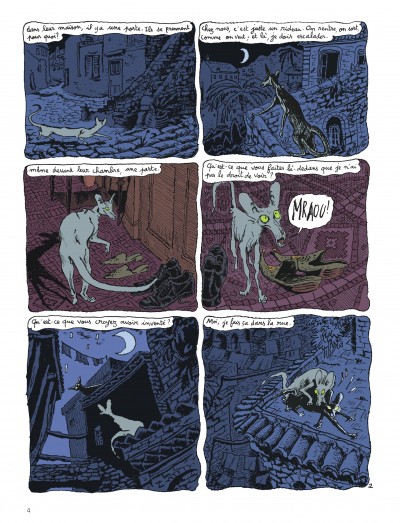 Le Chat du Rabbin