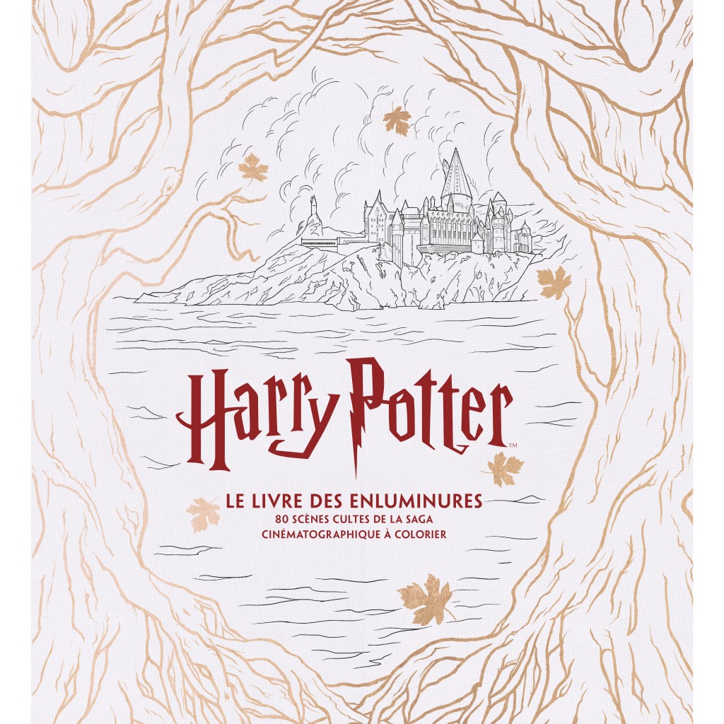Harry Potter, le grand livre de coloriage: Livres Pop culture chez Huginn &  Muninn