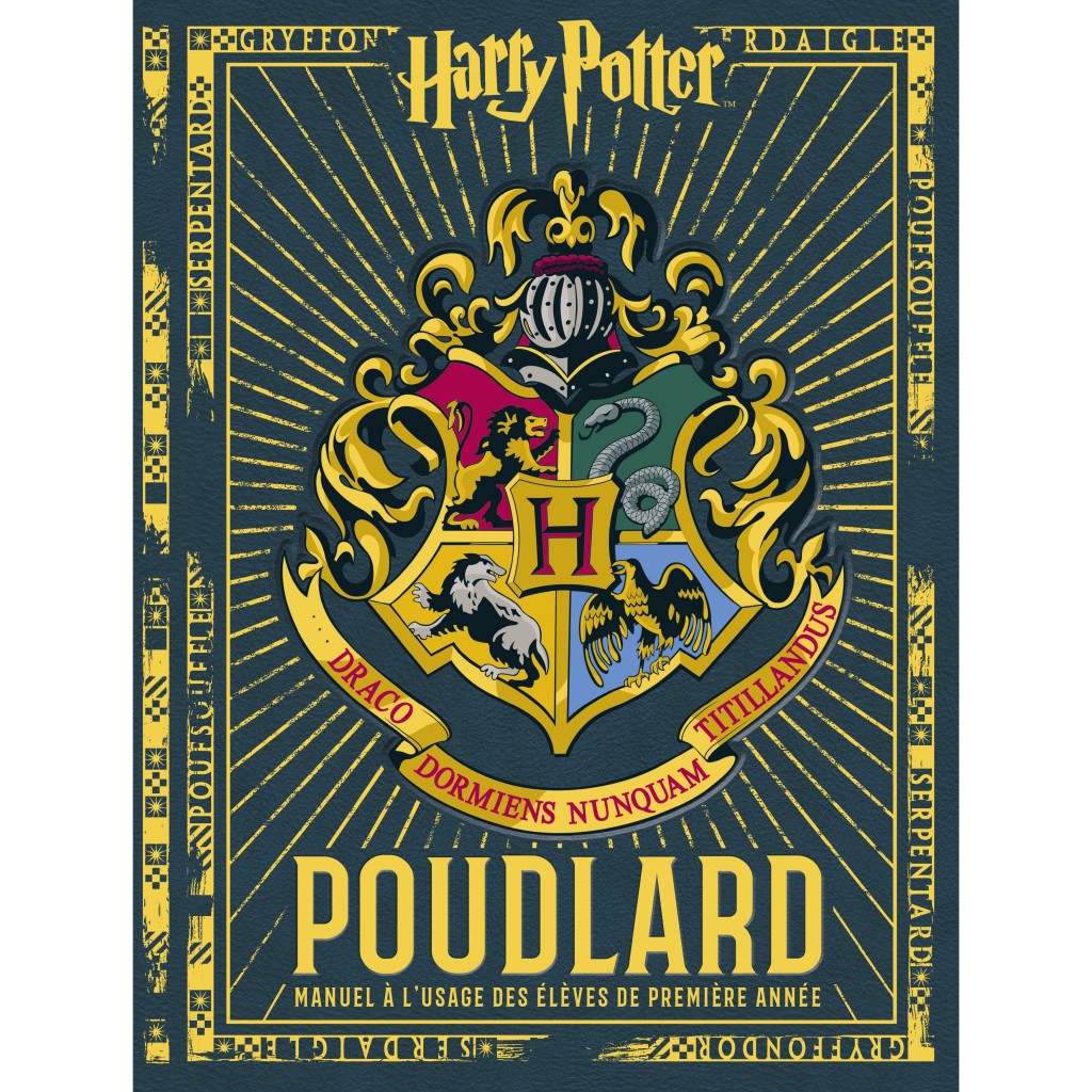 Harry Potter craftbook – Tome 1 – Harry Potter : L'atelier des créations  magiques: Livres Pop culture par Collectif chez Huginn & Muninn