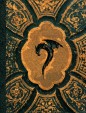 Rapaces Intégrale (T1 A 4)