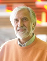Goddin Scénariste, Dessinateur BD
