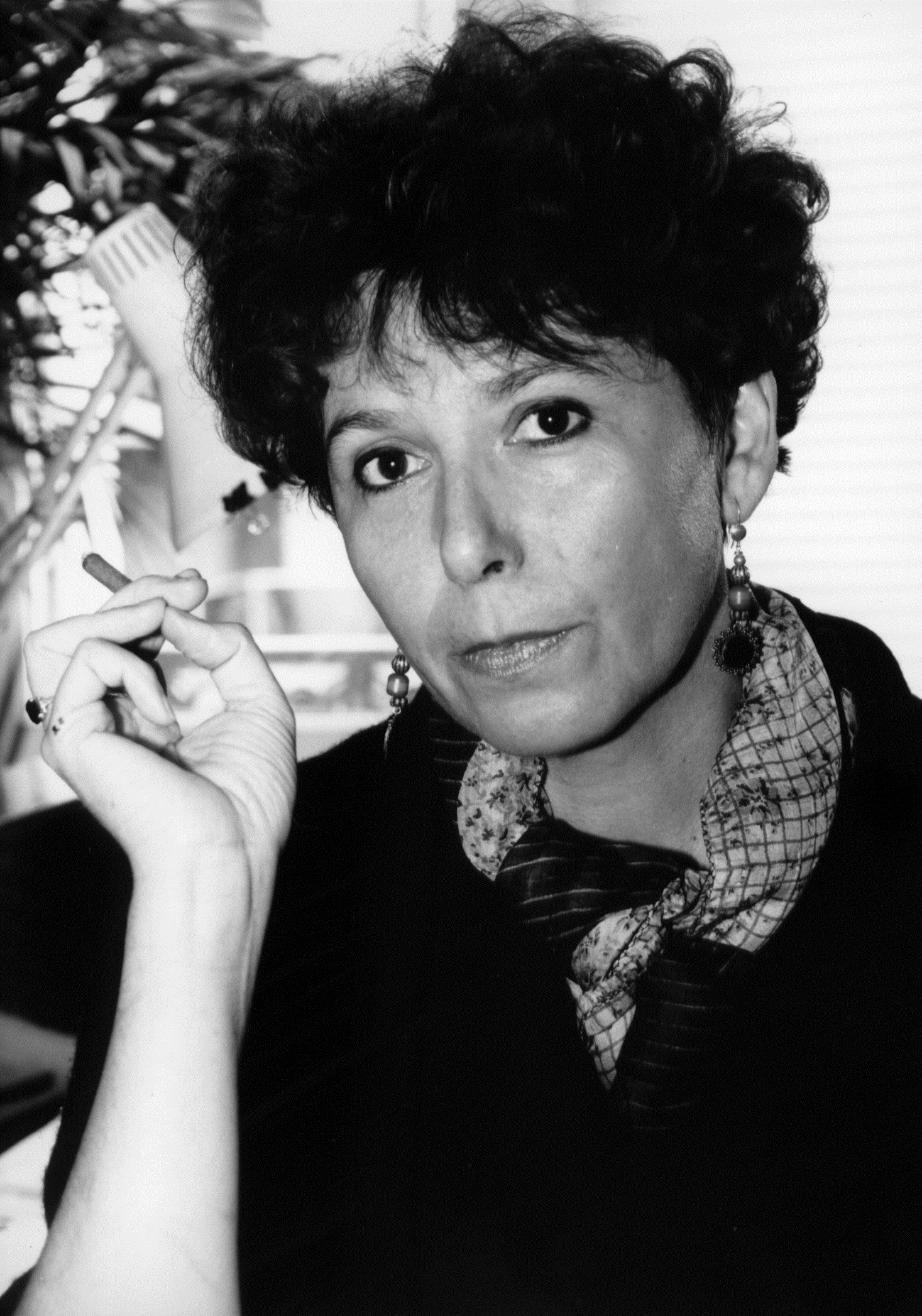 Montellier (Montellier) DARGAUD