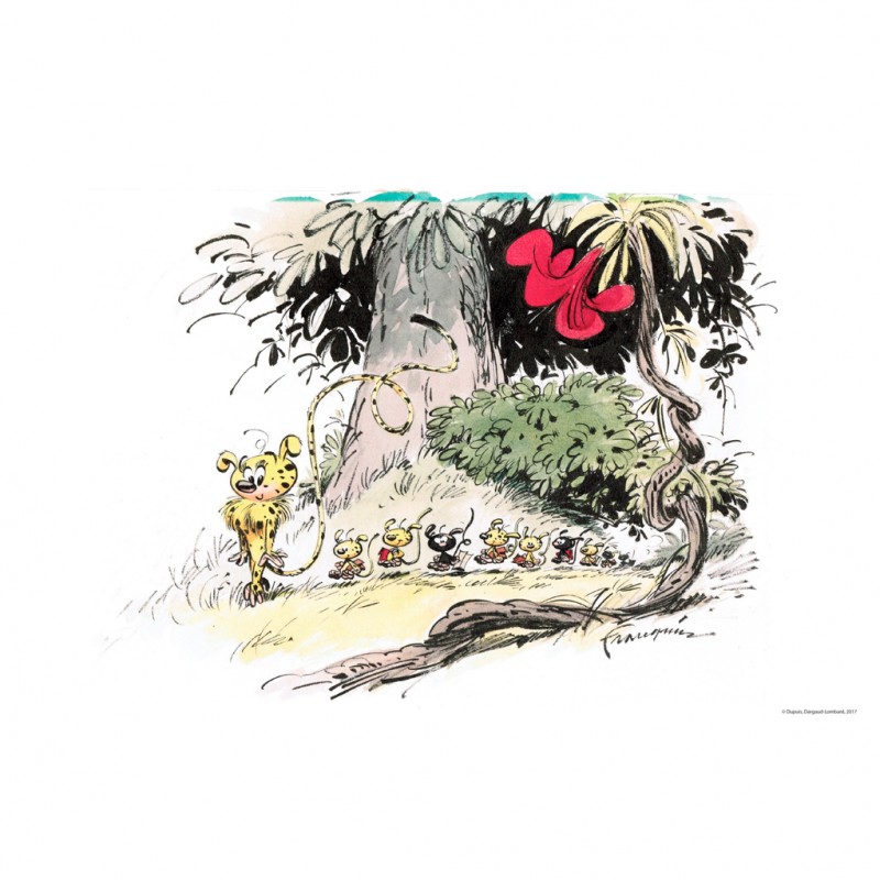 Marsupilami Tome 17 L Orchidée des Chahutas Livres BD par Franquin