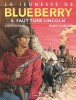 La Jeunesse de Blueberry – Tome 13 – Il faut tuer Lincoln - couv