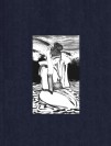 La jeune femme et la mer - couv