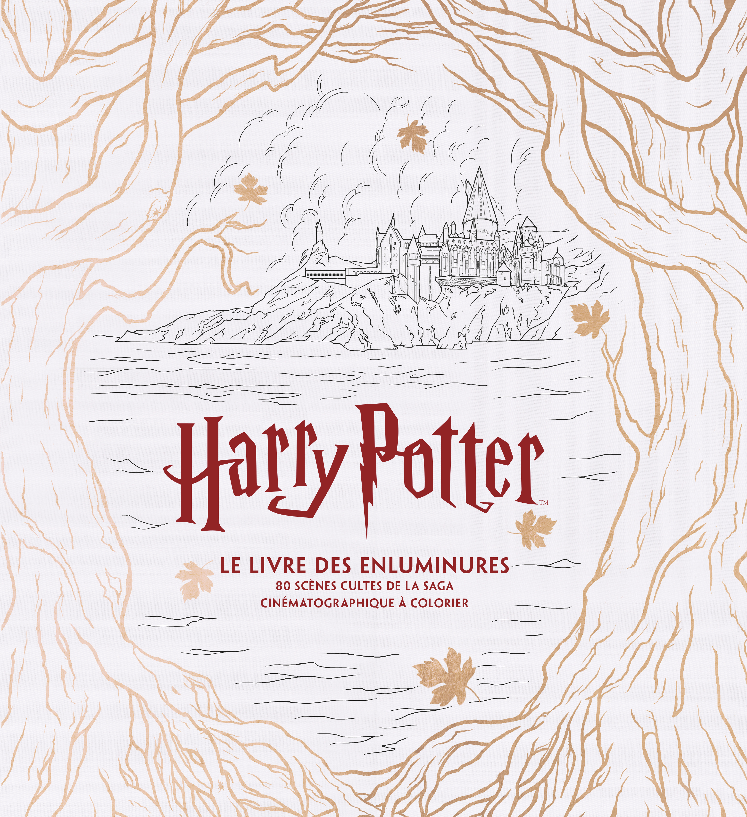 Harry Potter, le grand livre de coloriage - couv