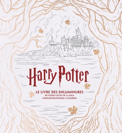 Harry Potter, le grand livre de coloriage