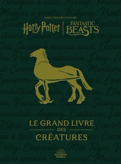 Harry Potter: les Grands Livres – Tome 2