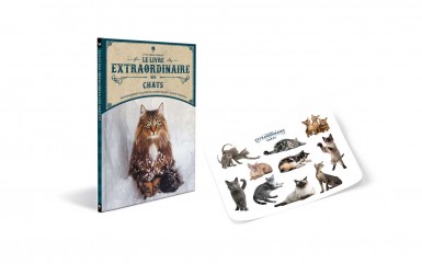 le-livre-extraordinaire-des-chats-sticker