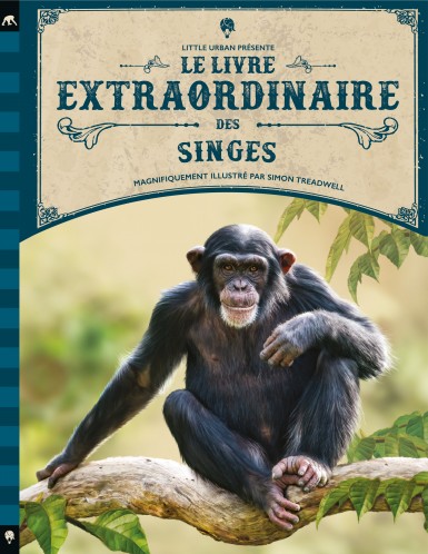 le-livre-extraordinaire-des-singes