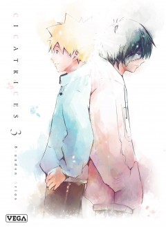Cicatrices – Tome 3