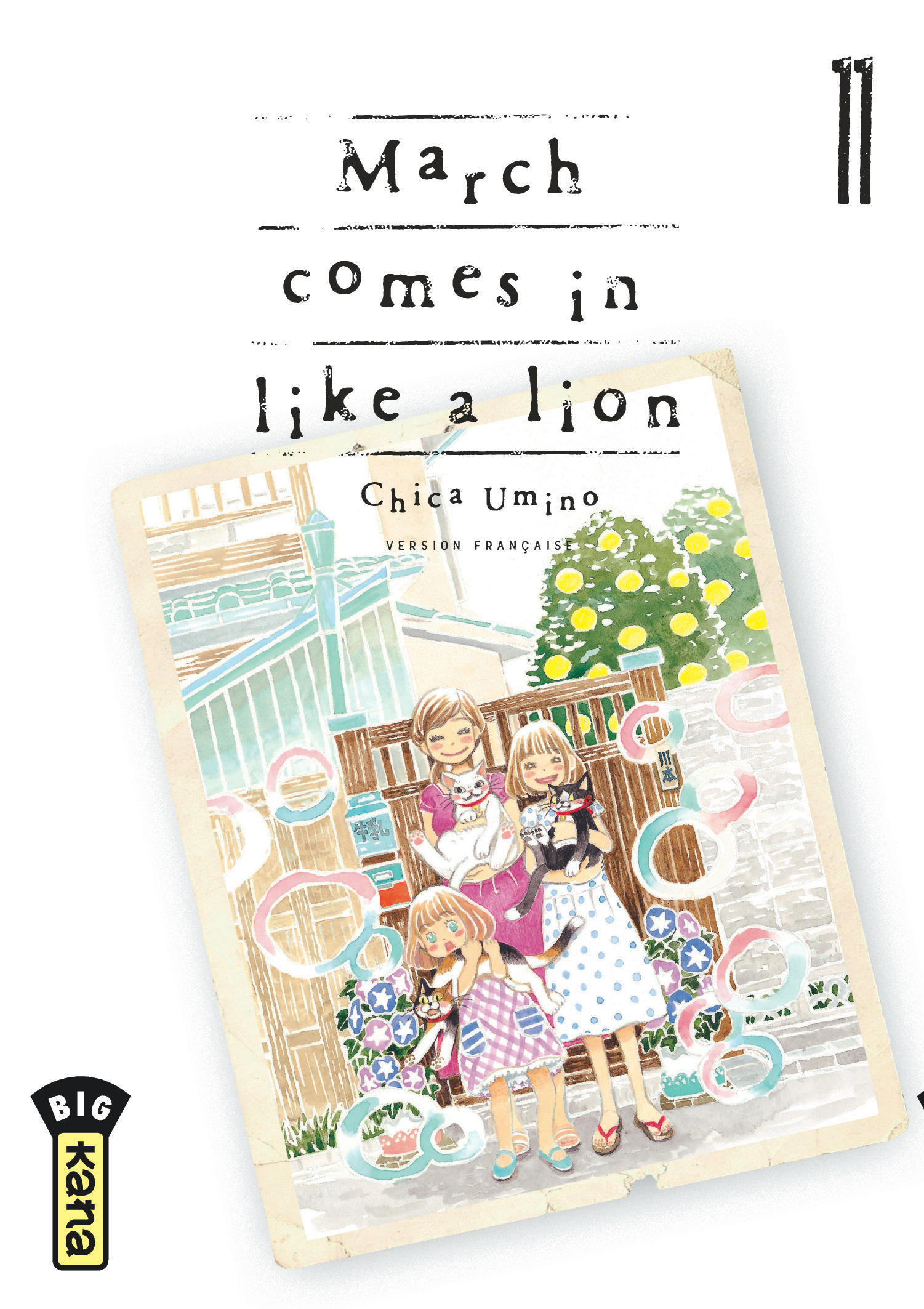 March comes in like a lion T11 - couv