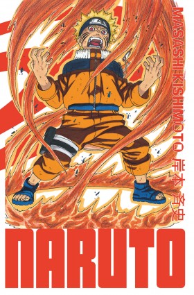 Naruto - édition HokageTome 13