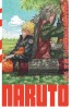 Naruto - édition Hokage – Tome 21 - couv