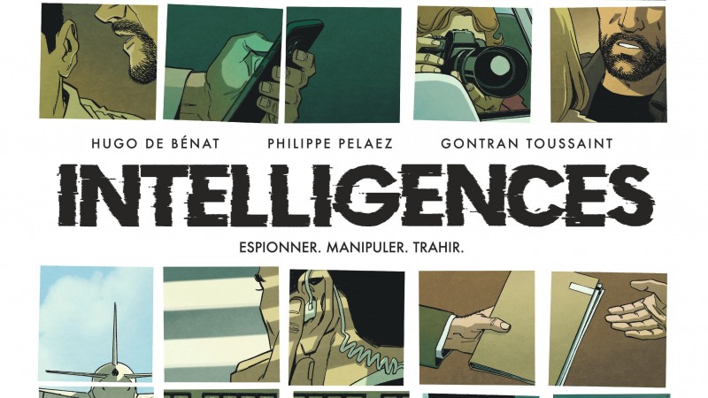 intelligences intelligences