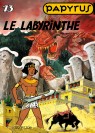 Le Labyrinthe - couv