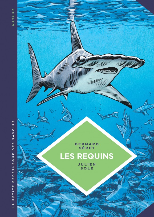 Les Requins. Les connaître pour les comprendre.