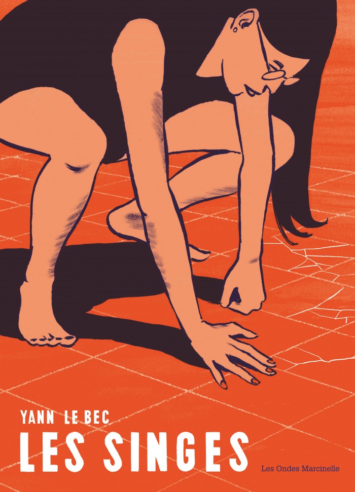 Les singes - Les singes