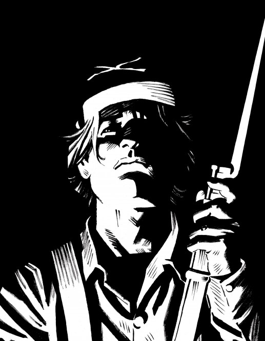 Le combat d'Henry Fleming – Edition spéciale - couv