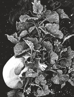 La tête de mort venue de Suède - La tête de mort venue de Suède  (Edition spéciale - Limitée - N/B)