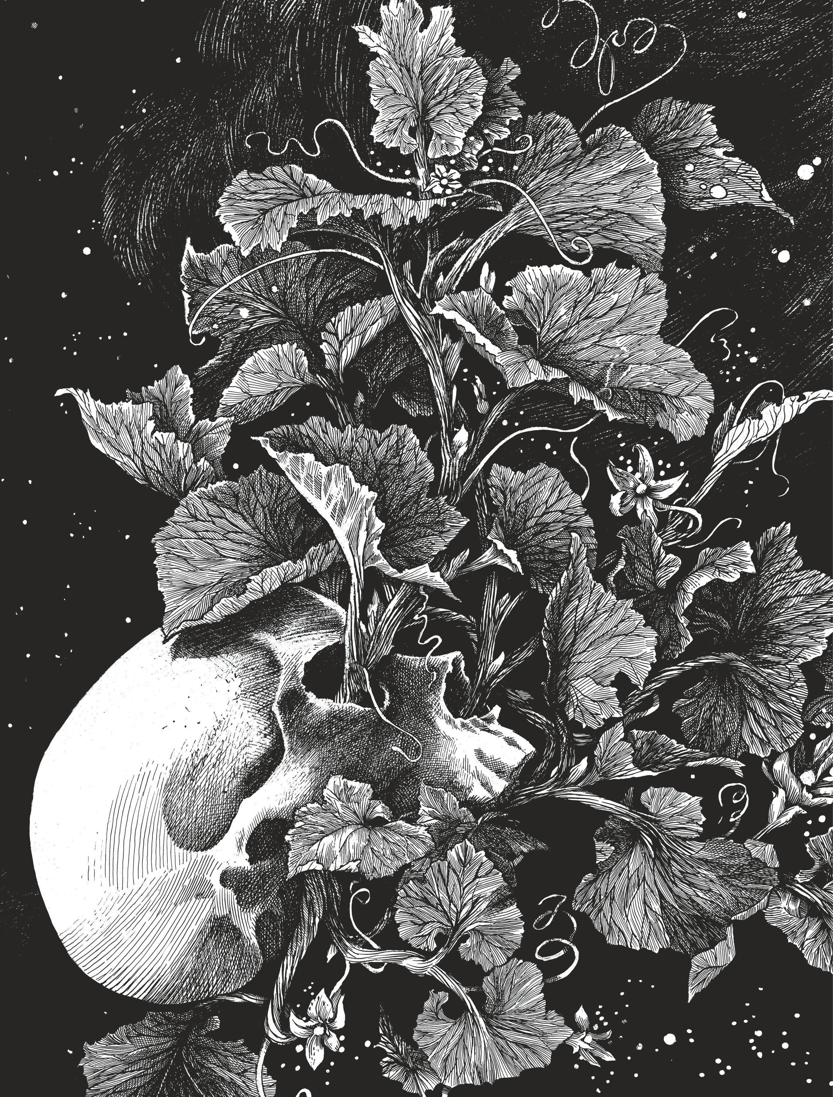 La tête de mort venue de Suède - couv