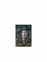 Wild West Tome 1 - Calamity Jane (luxe Stribbel)