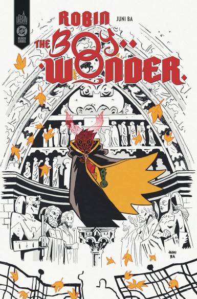 Couverture : Robin : the boy wonder