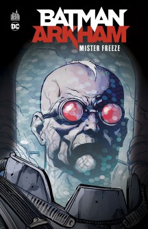 Batman Arkham : Mr Freeze