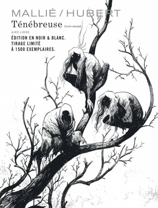 Ténébreuse – Tome 2 – Edition spéciale - couv