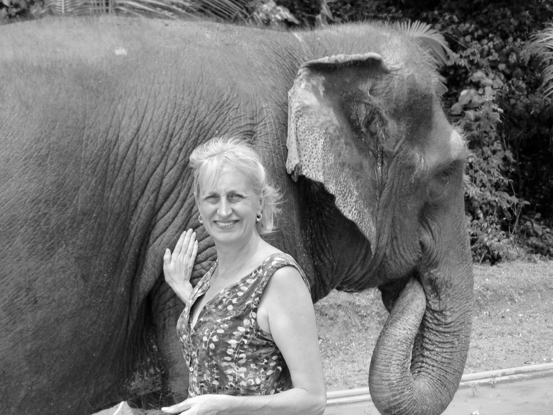 camilla-de-la-bedoyere