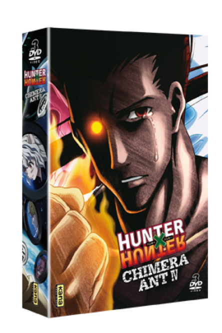 HUNTER X HUNTER : CHIMERA ANT4 - principal