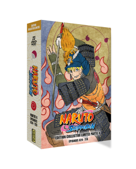 Naruto Shippuden Intégrale Collector (partie 4)