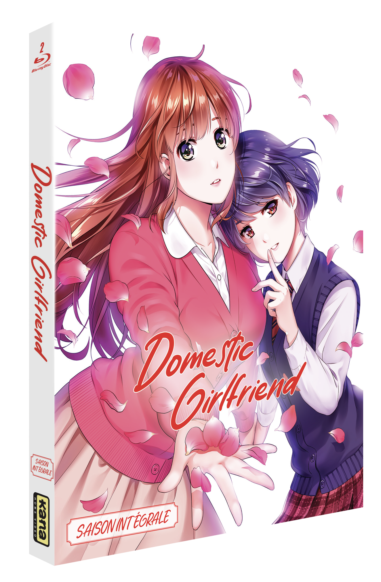Domestic Girlfriend - Love x Dilemma - Intégrale Blu-ray
