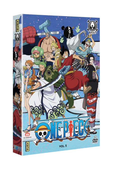 One Piece - EDITION EQUIPAGE - PARTIE 8: Coffret DVD / BluRay Manga chez  Kana Home Vidéo
