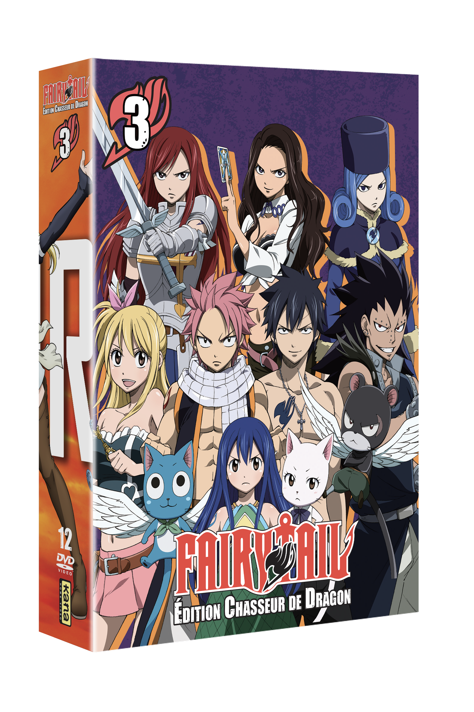 Fairy Tail - Édition Chasseur de Dragon - Partie 3 - principal