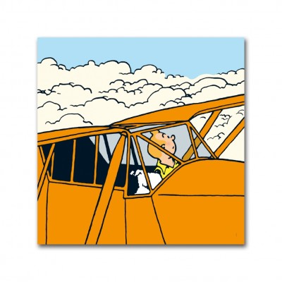 Toile -Tintin en avion (Moulinsart) - principal