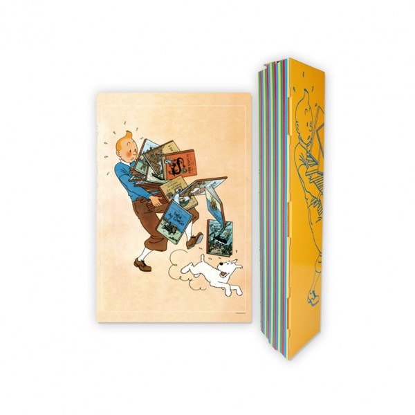 Affiche Tintin tenant les Albums