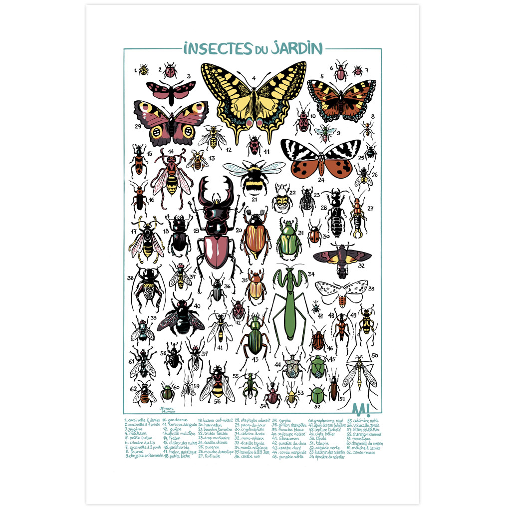 Sérigraphie Les insectes du jardin