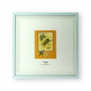 Fac-similé-Tintin et le Carabe doré - principal