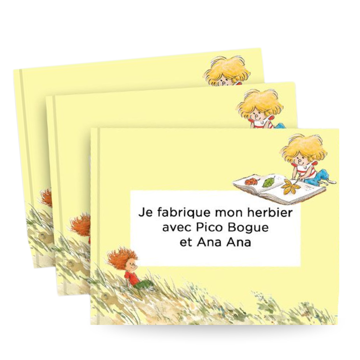 Carnet herbier Ana Ana/Pico Bogue - principal