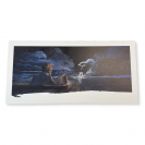 Ex-libris Deryn Du - principal