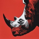 Sérigraphie Red Rhino - principal