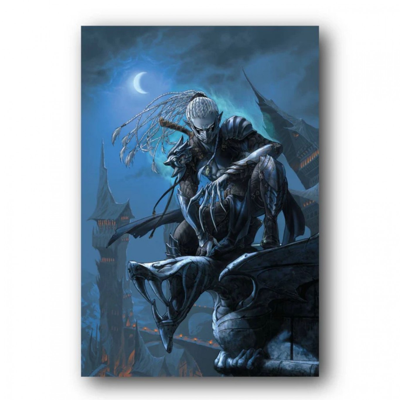 Tableau Le monde d'Aquilon 1 - Gaw'yn l'elfe noir: Toiles et tableaux ...
