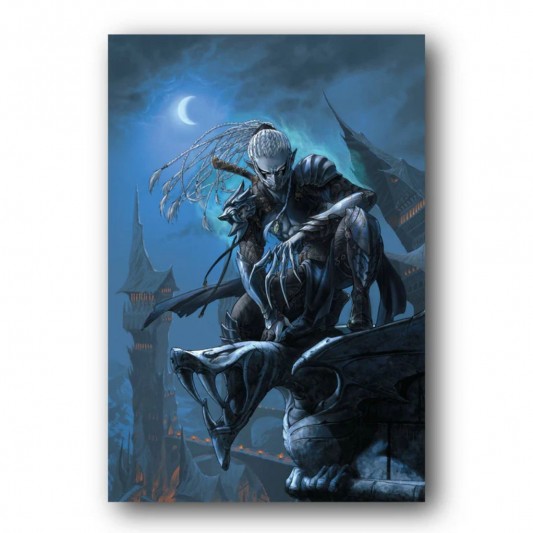 Tableau Le monde d'Aquilon 1 - Gaw'yn l'elfe noir - principal