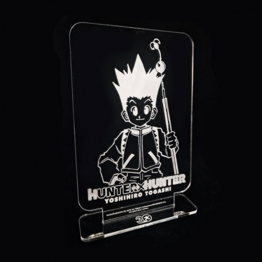 Plaque acrylique Hunter x Hunter - principal