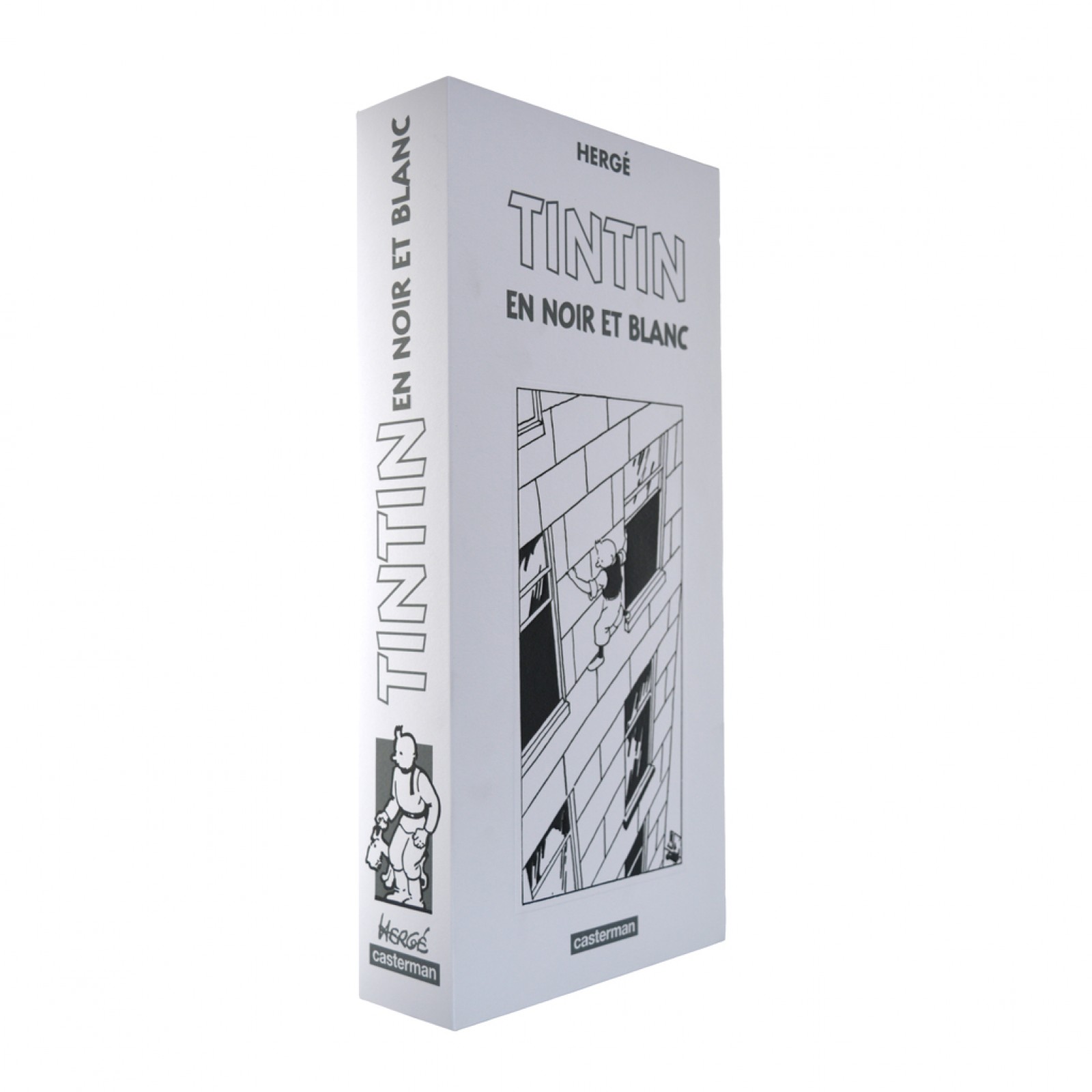 Tintin mini albums black et white french Edition