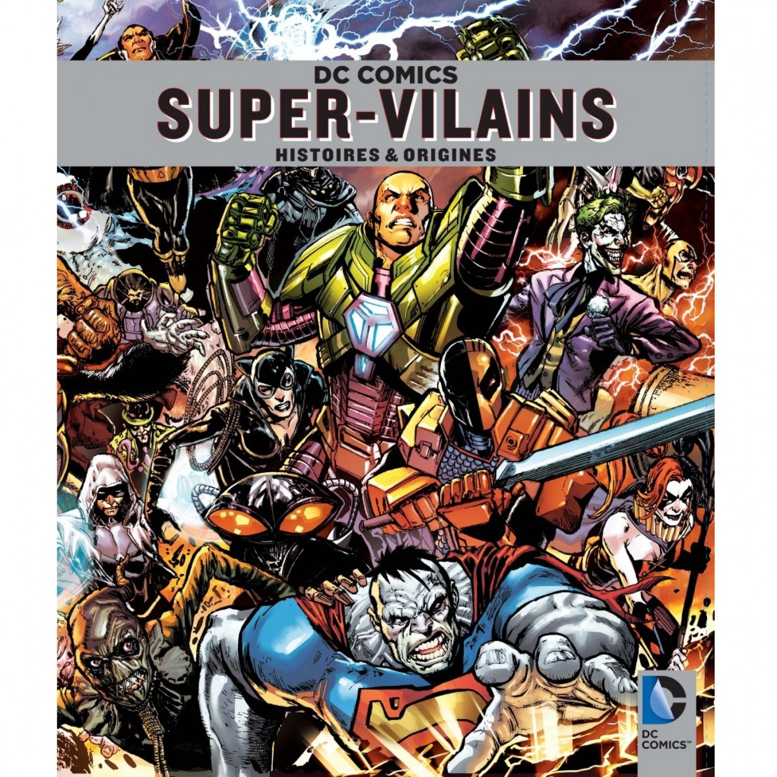 Dc Comics Super Vilains Histoires Et Origines Beaux Livres
