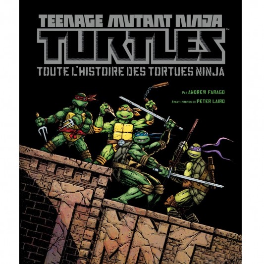 Teenage Mutant Ninja Turtles : Toute l'histoire des Tortues ninja - principal